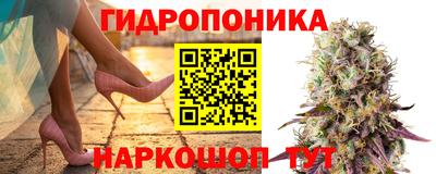 мяу мяу мука Малоярославец